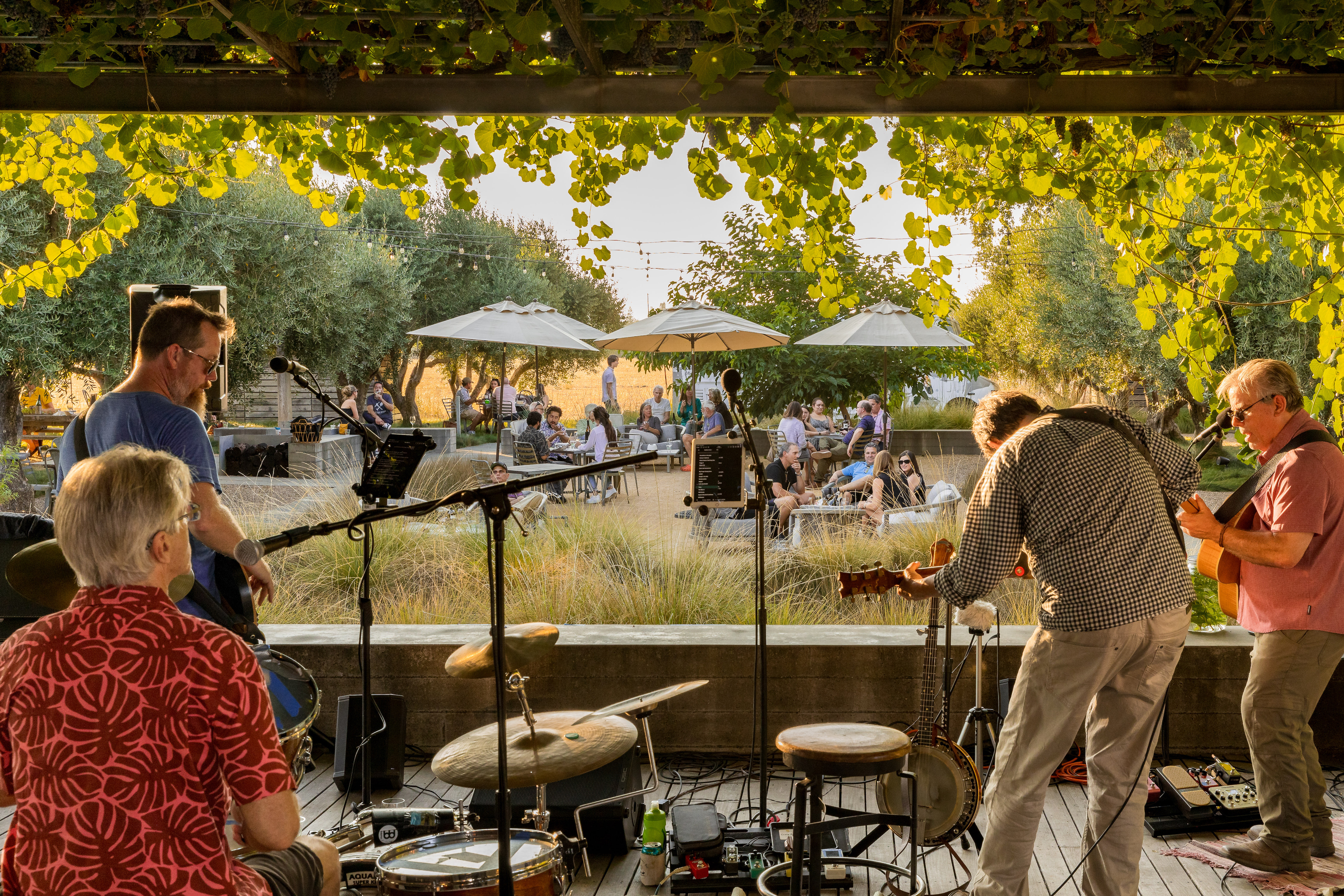 Band playing on the patio overlooking guest. Medlock Ames Tasting Room.